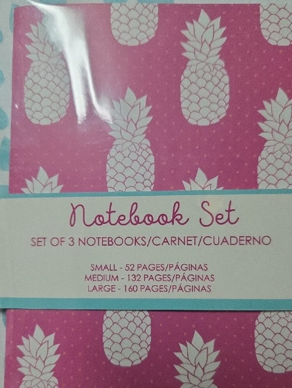 Arcadia Pink & Teal Pineapple 3-Piece Notebook Set
